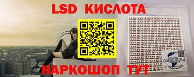 прущие грибы Кулебаки