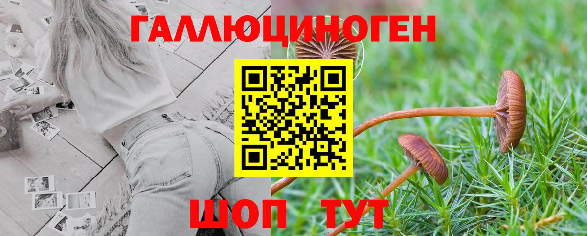 Галлюциногенные грибы Cubensis  Вход с VPN  Зеленокумск 